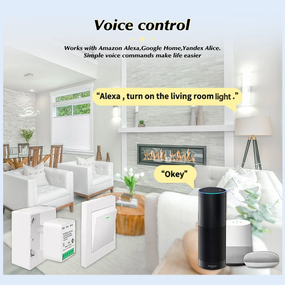 For Tuya Mini Smart WiFi Switc - Diy Electronic Modules のレビューと価格